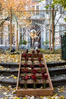 JVO_5178